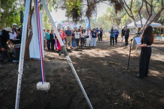 WhatsApp Image 2026-04-02 at 13.06.38.jpeg